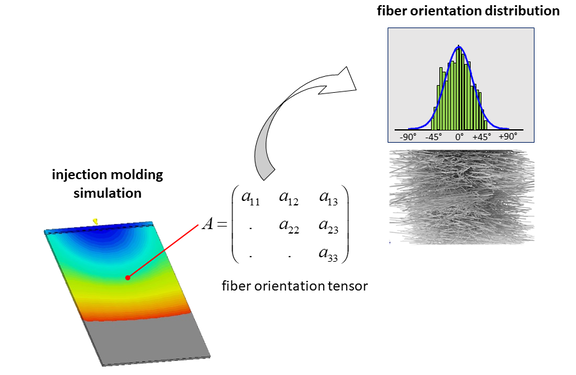 5-reconstruction-fiber-orientation-distribution.png  